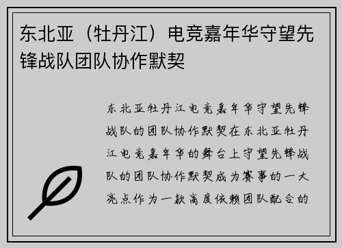东北亚（牡丹江）电竞嘉年华守望先锋战队团队协作默契
