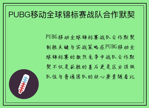 PUBG移动全球锦标赛战队合作默契