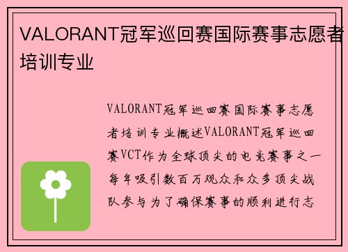 VALORANT冠军巡回赛国际赛事志愿者培训专业